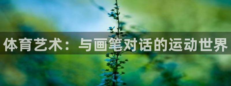 沐鸣2代理注册