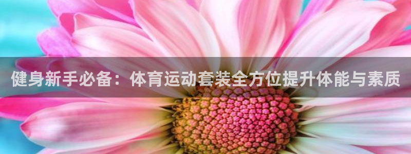 沐鸣4代理