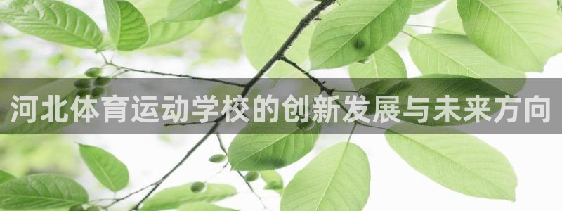 沐鸣体育3在线注册
