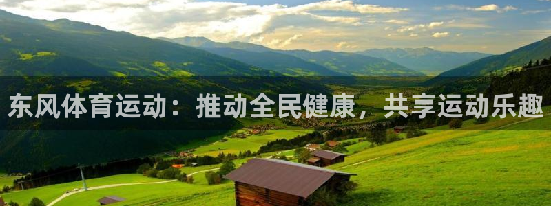 沐鸣集团股票