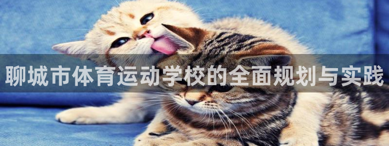 沐鸣包怎么样