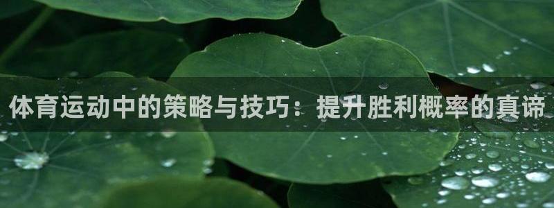 沐鸣2代理注册