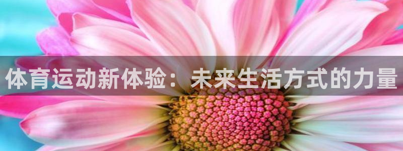 沐鸣网站