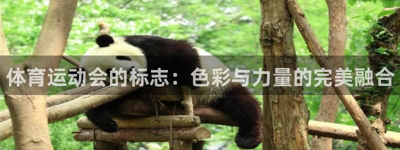 沐鸣网页版地址
