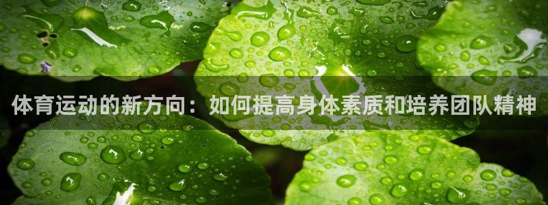 沐鸣登录