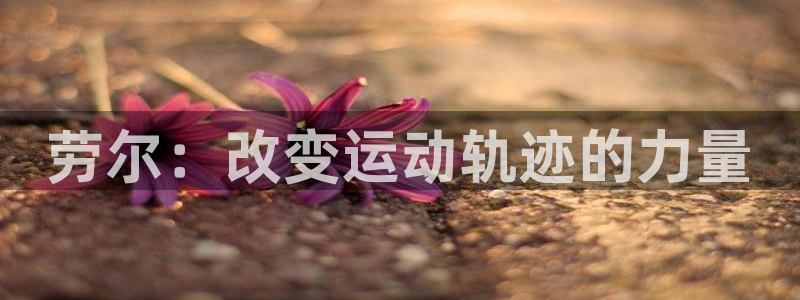 沐鸣体育f开号