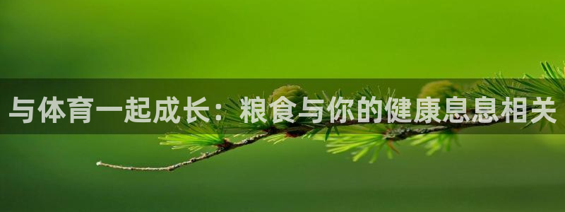 沐鸣4招商