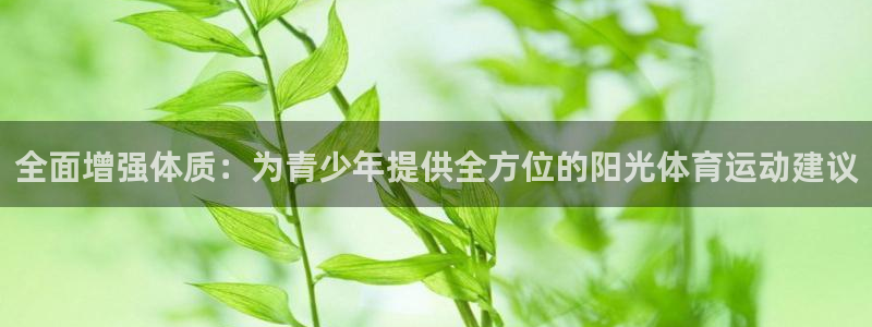 沐鸣科技