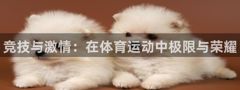 沐鸣3登录