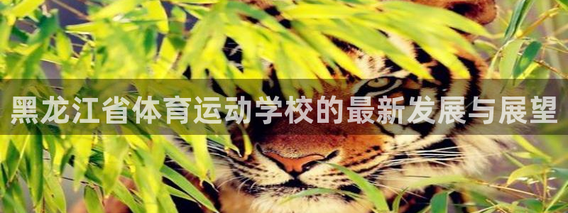 沐鸣平台招商