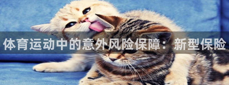 沐鸣零能源集团