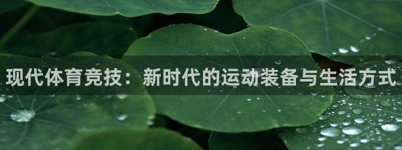 沐鸣2官网注册